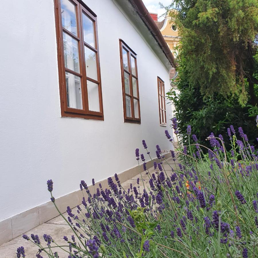 Corte Apartman Pápa Exterior photo